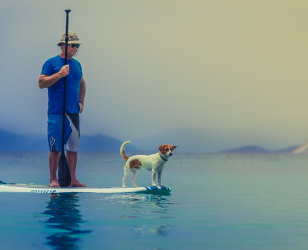 Man and dog paddle boarding on calm water.